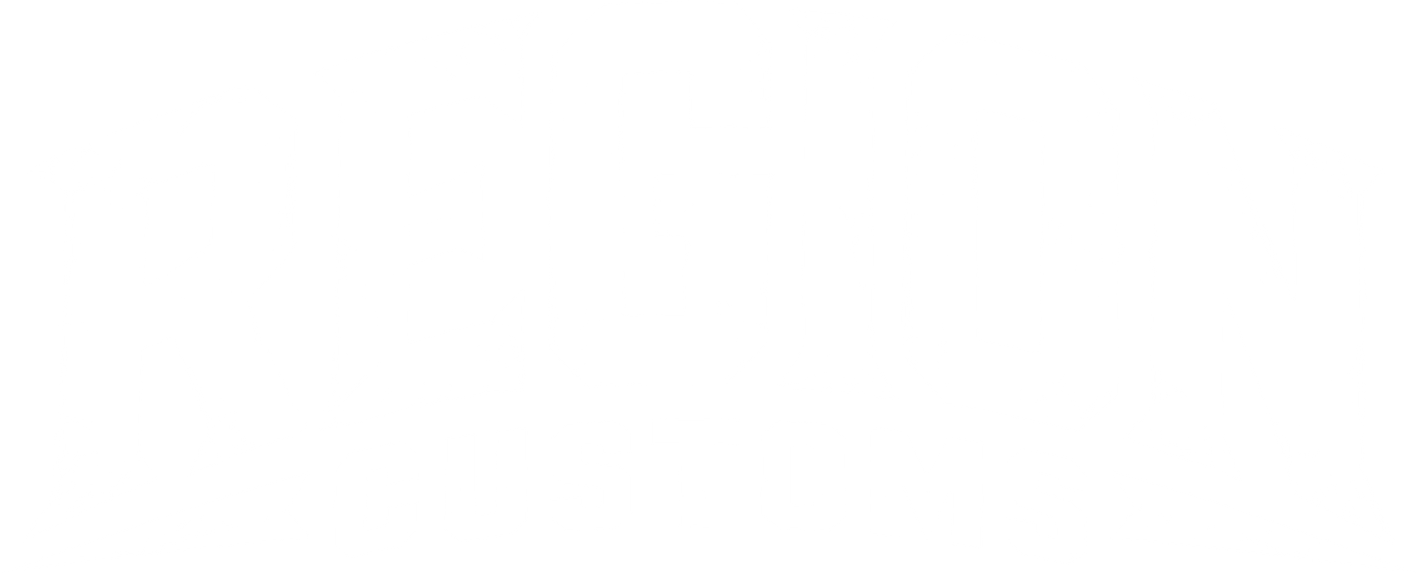 regioncustoms.com